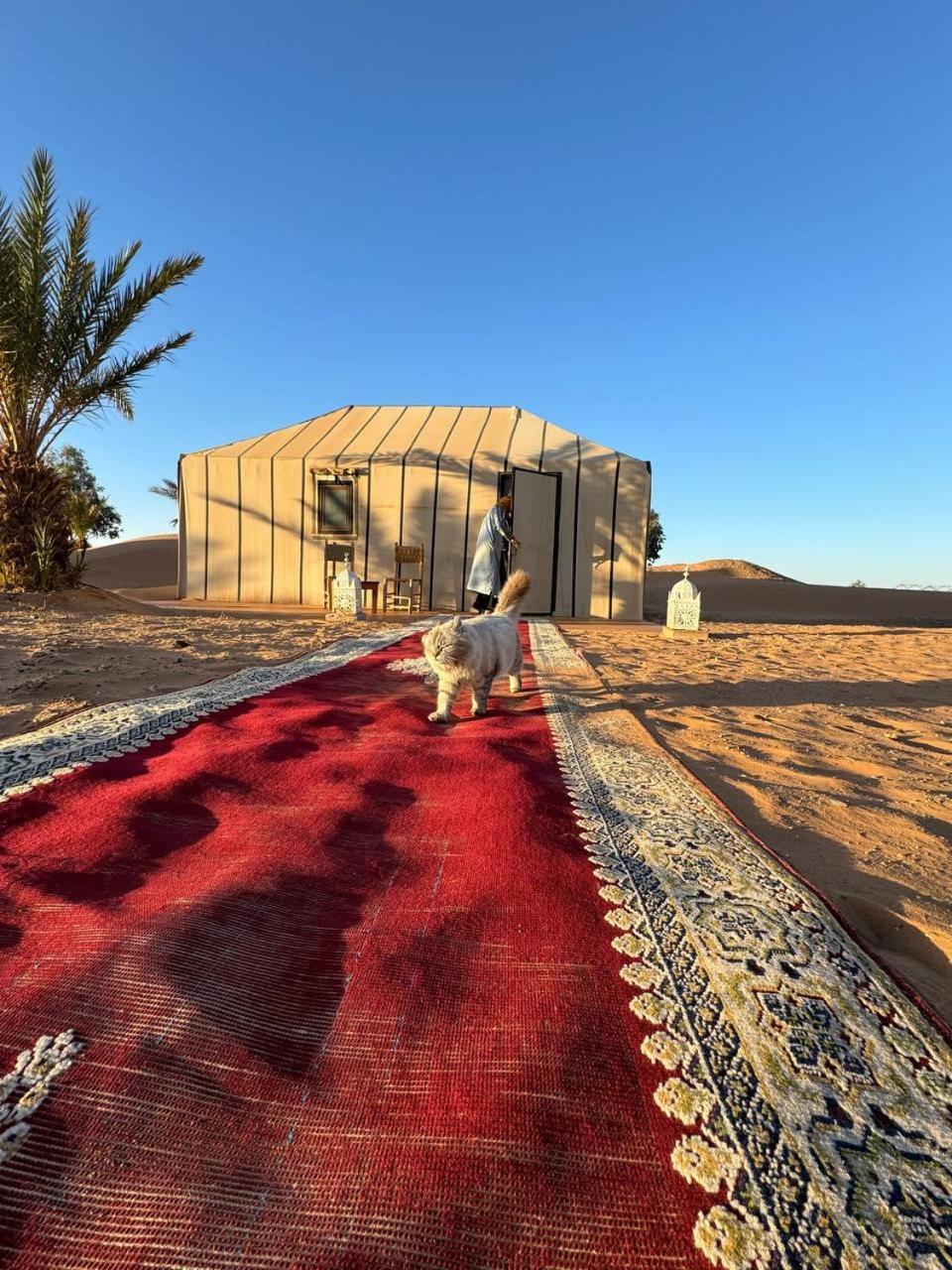 Camping Sahara Luxury Camp Vip *