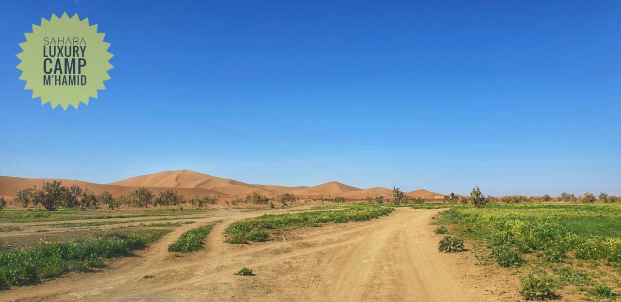 Sahara Luxury Camp Vip Camping Merzouga
